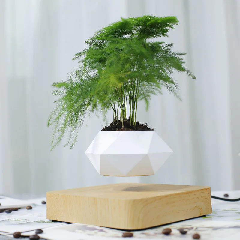 HoverWood Levitation Pot