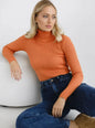 Women's Knitwear Turtleneck Pullover