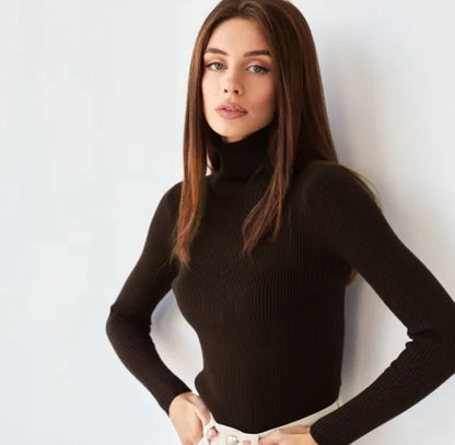 Women's Knitwear Turtleneck Pullover