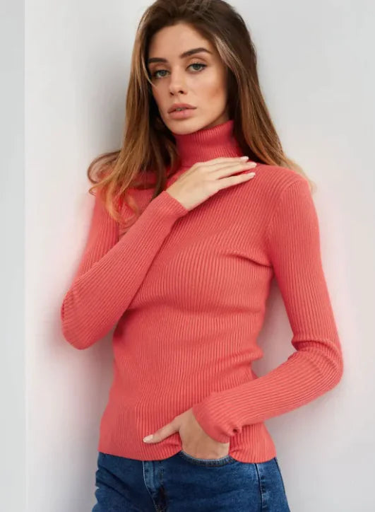 Women's Knitwear Turtleneck Pullover